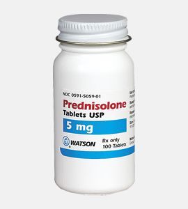 koupit prednisolon